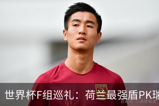 世界杯F组巡礼：荷兰最强盾PK瑞典犀利刀 日本短板明显